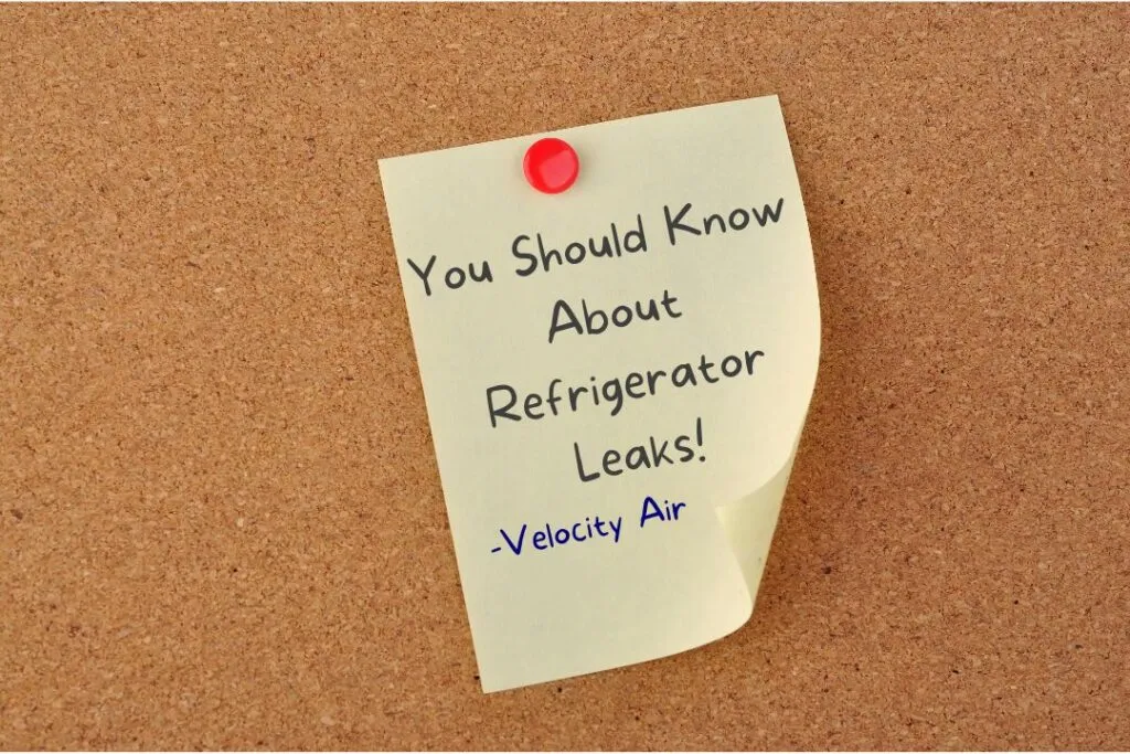 What You Need To Know About Refrigerator Leaks