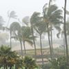 Hurricane Season Checklist and HVAC Tips to Stay out of the Heat in Largo Florida