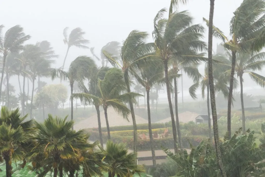 Hurricane Season Checklist and HVAC Tips to Stay out of the Heat in Largo Florida