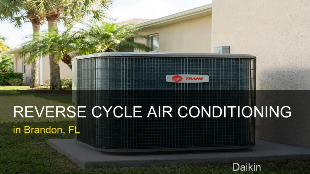 Reverse Cycle Air Conditioning in Brandon - Daikin
