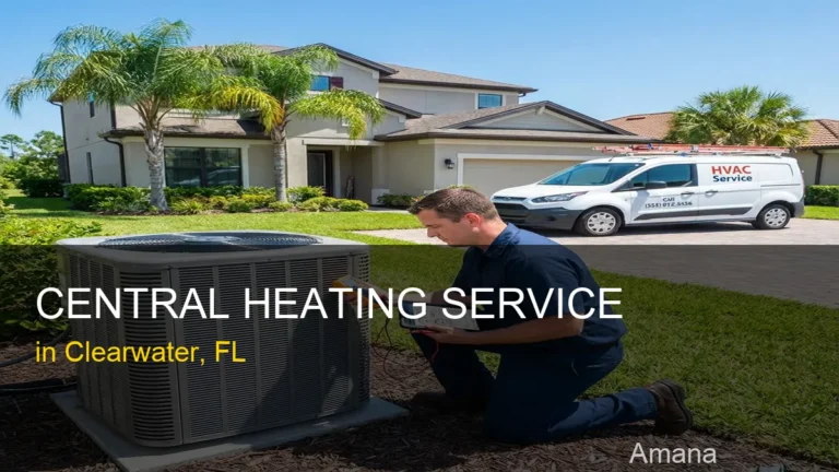 Central Heating Service in Clearwater - Amana