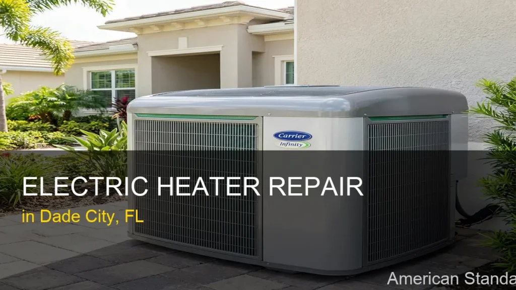 Electric Heater Repair in Dade City - American Standard