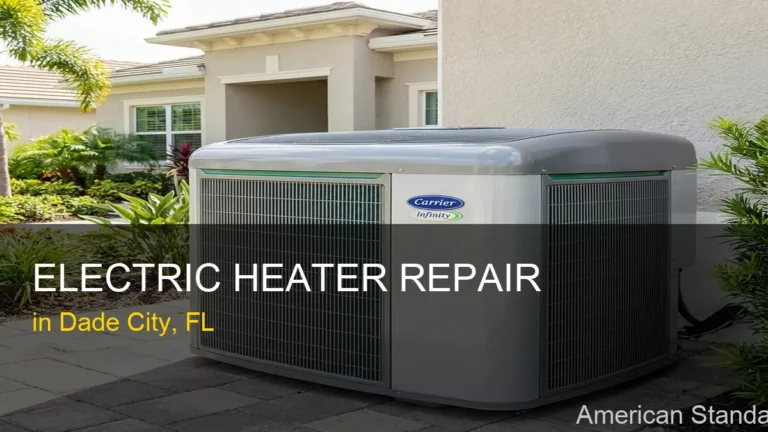 Electric Heater Repair in Dade City - American Standard