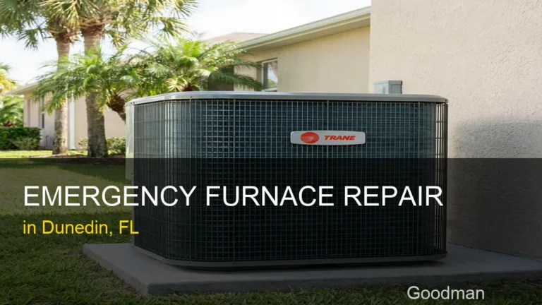 Emergency Furnace Repair in Dunedin - Goodman