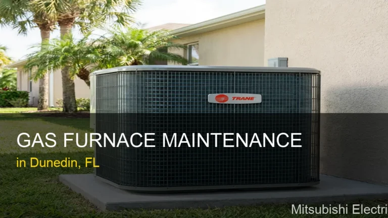 Gas Furnace Maintenance in Dunedin - Mitsubishi Electric