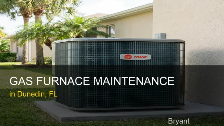 Gas Furnace Maintenance in Dunedin - Bryant