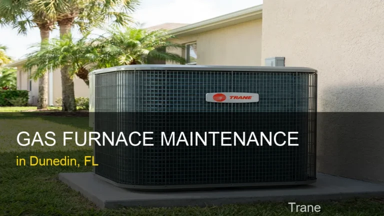 Gas Furnace Maintenance in Dunedin - Trane