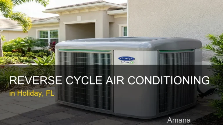 Reverse Cycle Air Conditioning in Holiday - Amana