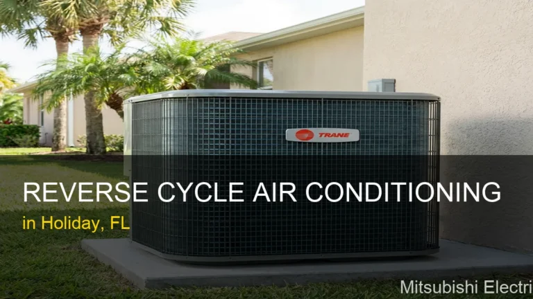 Reverse Cycle Air Conditioning in Holiday - Mitsubishi Electric