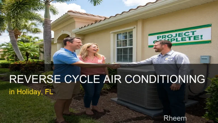 Reverse Cycle Air Conditioning in Holiday - Rheem