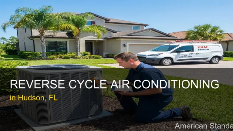 Reverse Cycle Air Conditioning in Hudson - American Standard