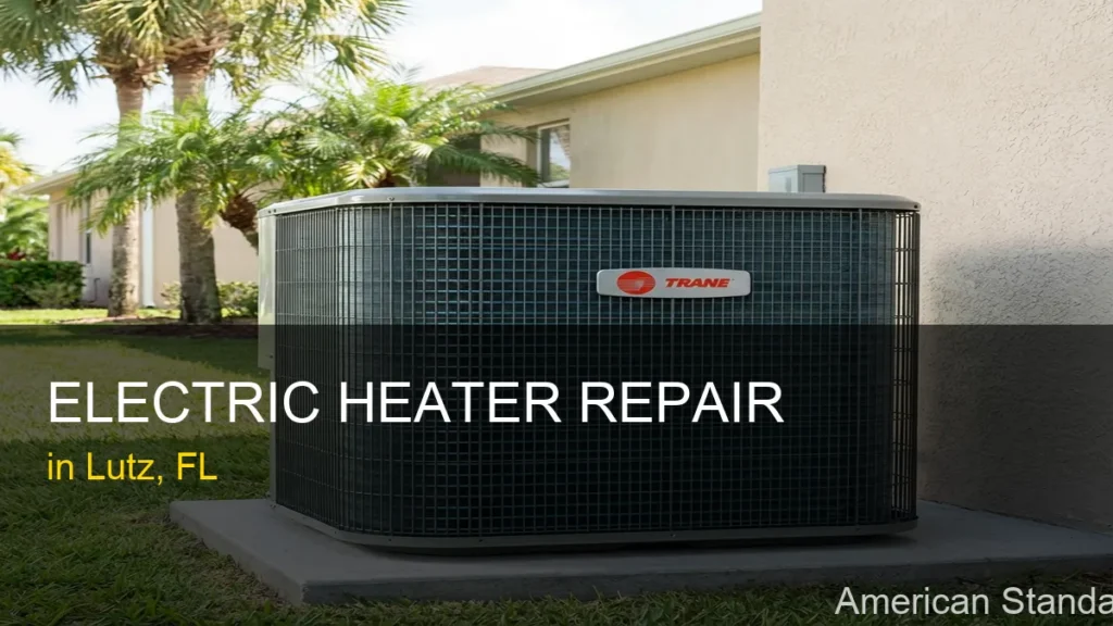 Electric Heater Repair in Lutz - American Standard