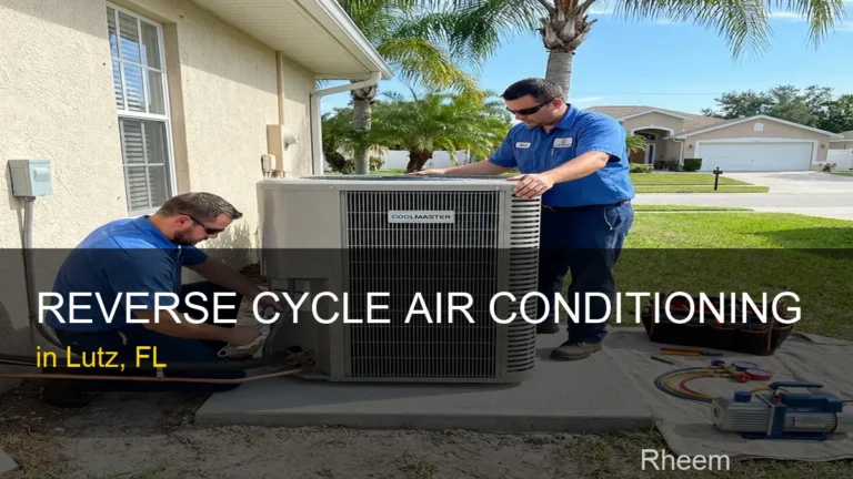 Reverse Cycle Air Conditioning in Lutz - Rheem