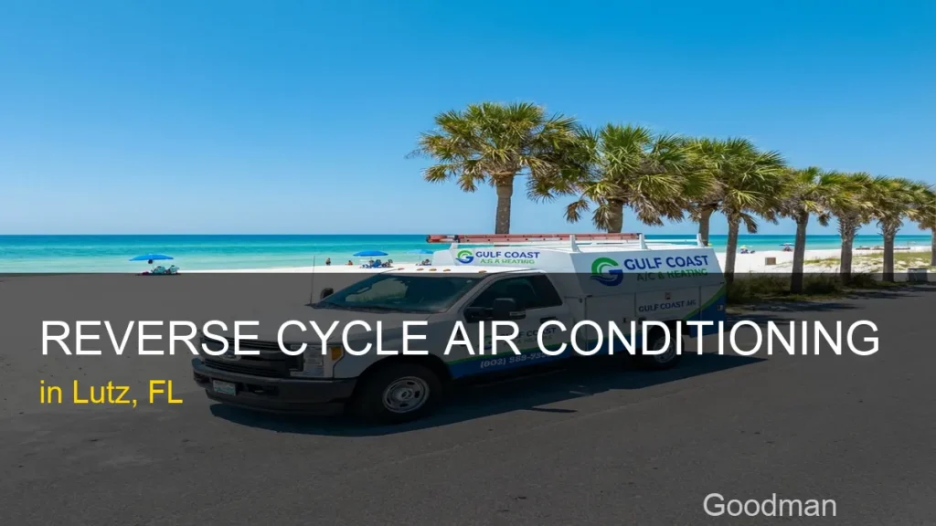 Reverse Cycle Air Conditioning in Lutz - Goodman