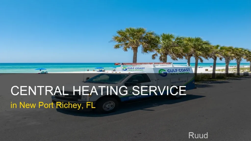 Central Heating Service in New Port Richey - Ruud
