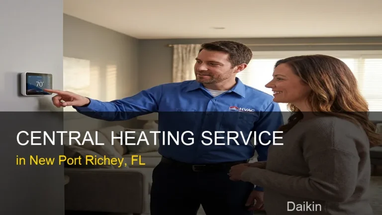 Central Heating Service in New Port Richey - Daikin