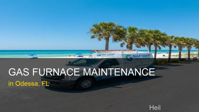Gas Furnace Maintenance in Odessa - Heil