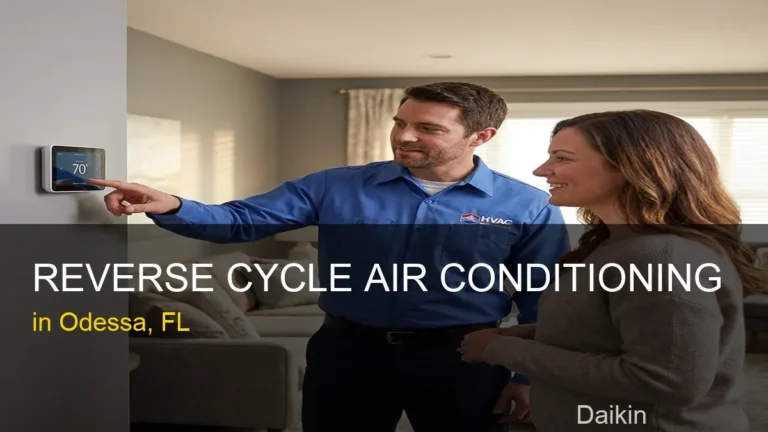 Reverse Cycle Air Conditioning in Odessa - Daikin