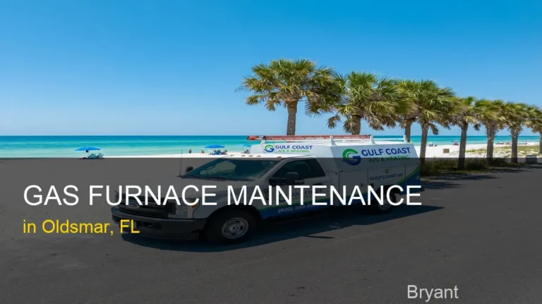 Gas Furnace Maintenance in Oldsmar - Bryant