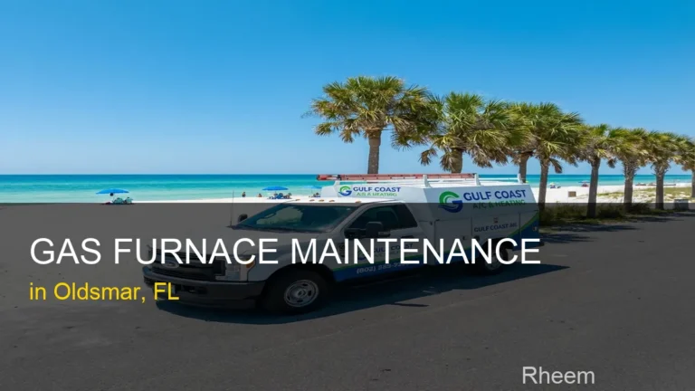 Gas Furnace Maintenance in Oldsmar - Rheem