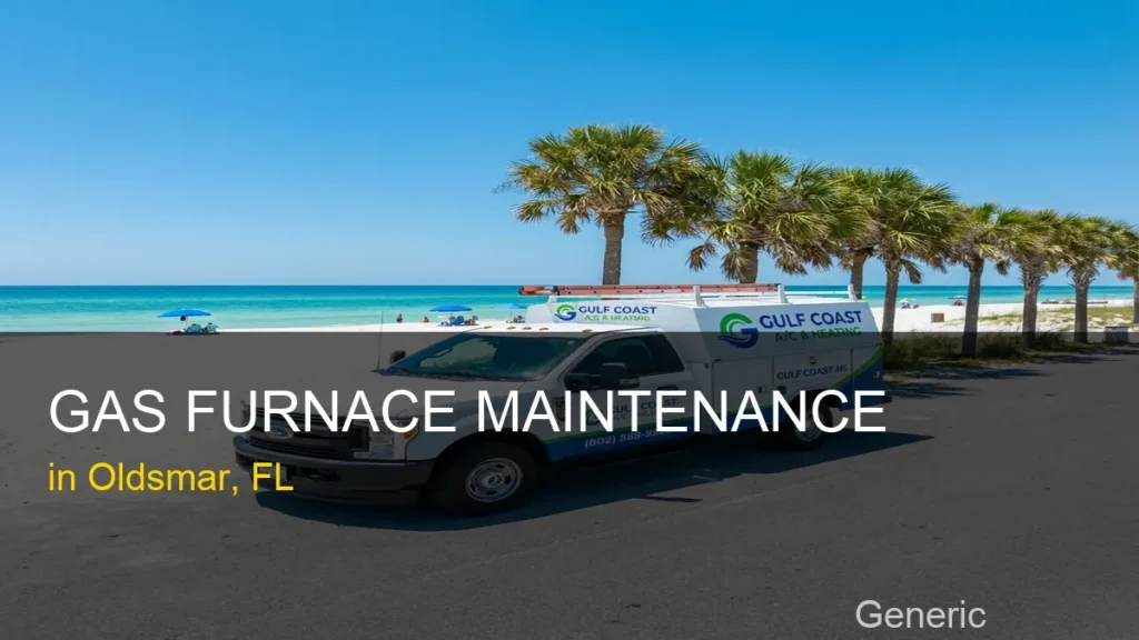 Gas Furnace Maintenance in Oldsmar - Generic