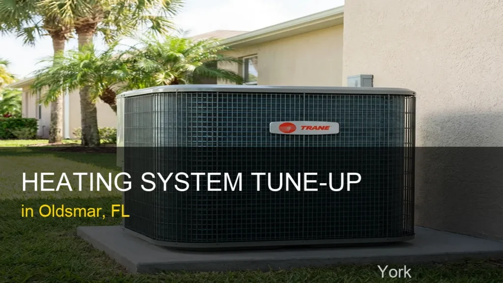 Heating System Tune-Up in Oldsmar - York