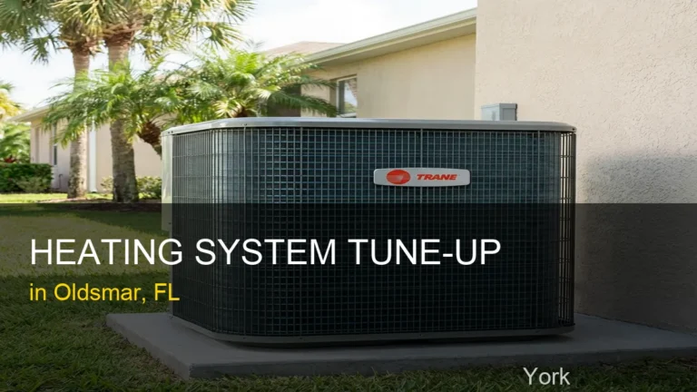 Heating System Tune-Up in Oldsmar - York