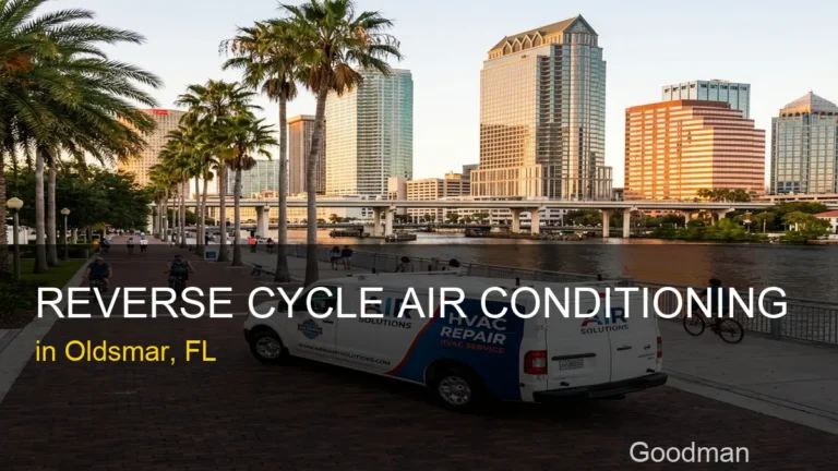Reverse Cycle Air Conditioning in Oldsmar - Goodman