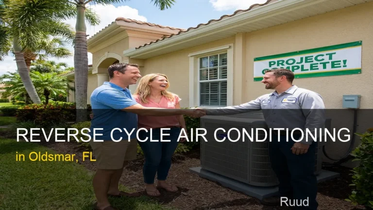 Reverse Cycle Air Conditioning in Oldsmar - Ruud