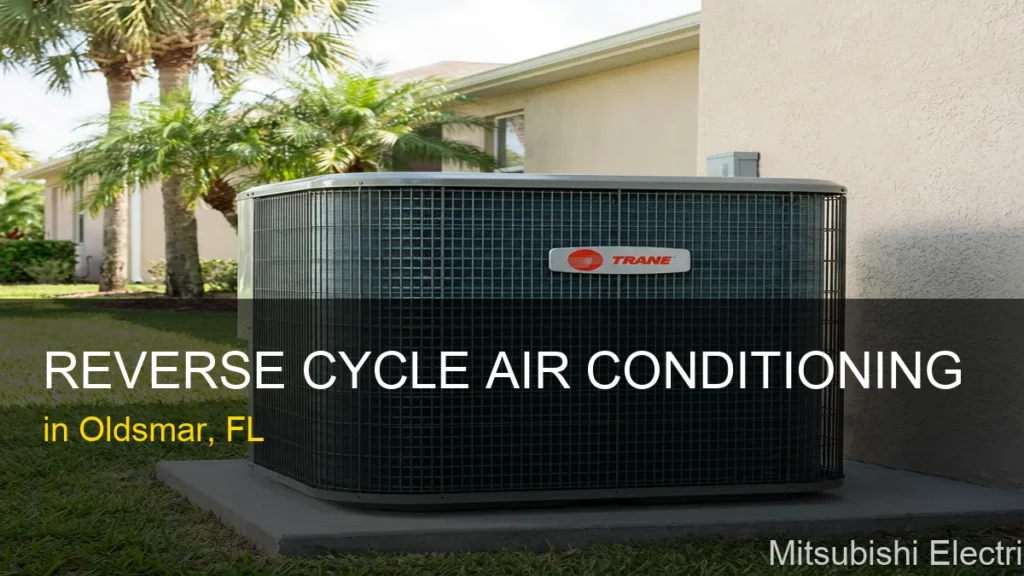 Reverse Cycle Air Conditioning in Oldsmar - Mitsubishi Electric