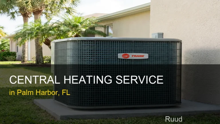 Central Heating Service in Palm Harbor - Ruud
