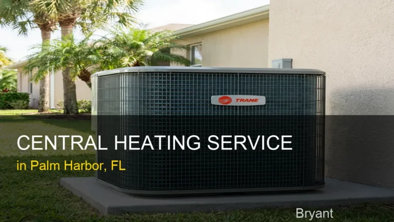 Central Heating Service in Palm Harbor - Bryant