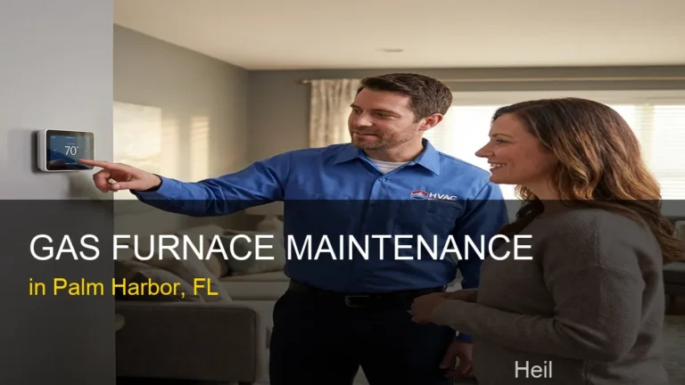 Gas Furnace Maintenance in Palm Harbor - Heil