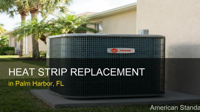 Heat Strip Replacement in Palm Harbor - American Standard