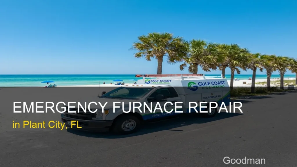 Emergency Furnace Repair in Plant City - Goodman