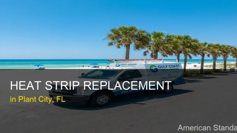 Heat Strip Replacement in Plant City - American Standard