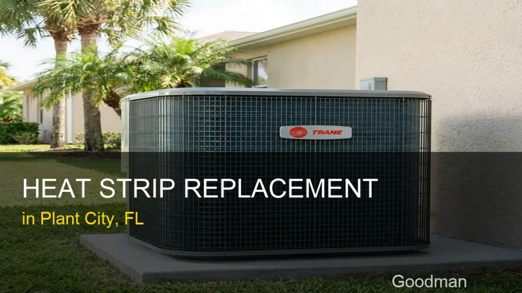 Heat Strip Replacement in Plant City - Goodman