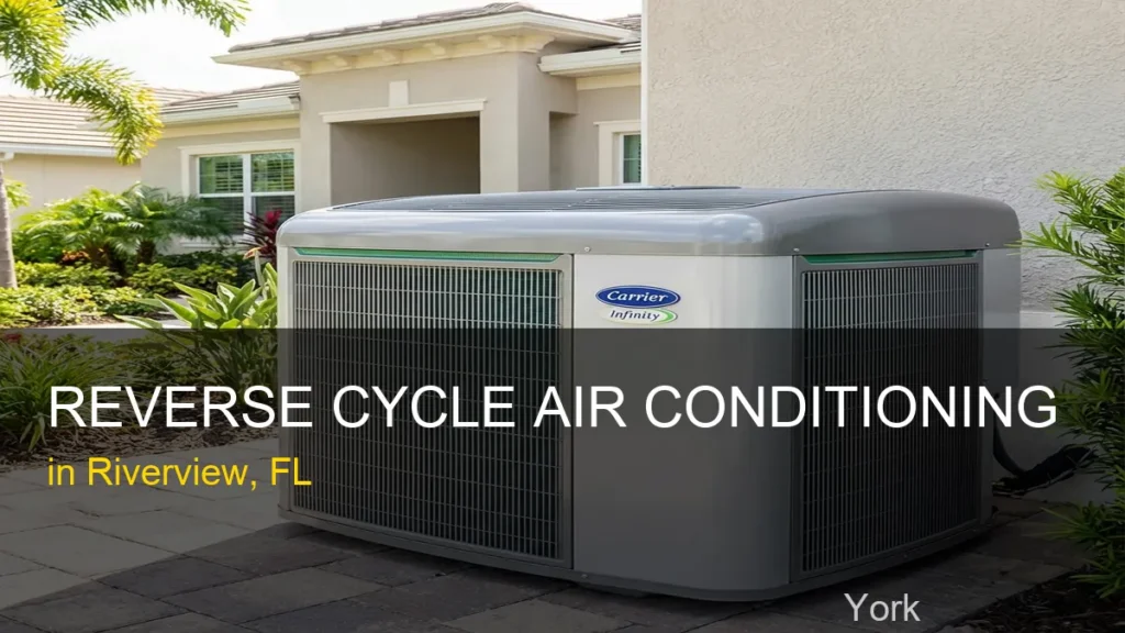 Reverse Cycle Air Conditioning in Riverview - York