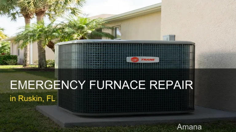 Emergency Furnace Repair in Ruskin - Amana