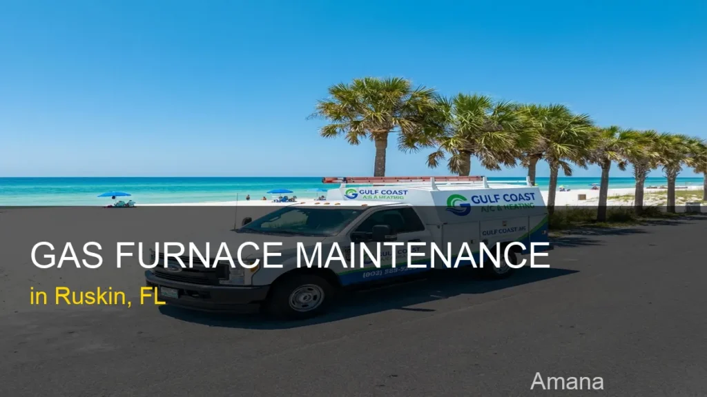 Gas Furnace Maintenance in Ruskin - Amana