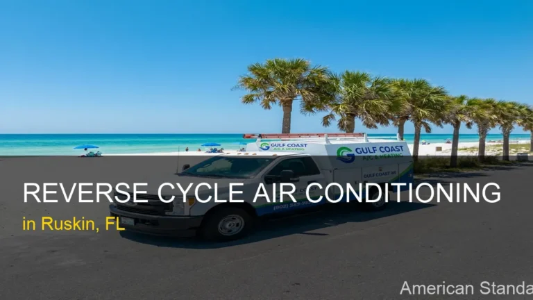 Reverse Cycle Air Conditioning in Ruskin - American Standard