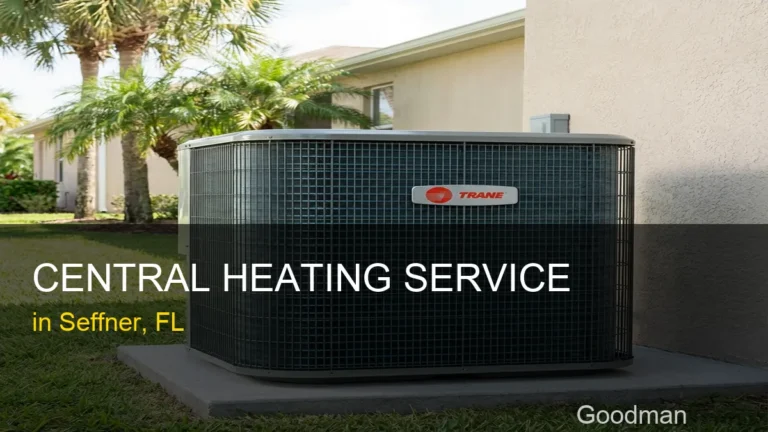 Central Heating Service in Seffner - Goodman