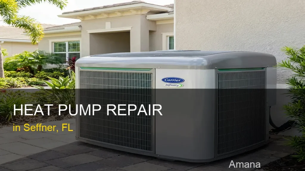 Heat Pump Repair in Seffner - Amana
