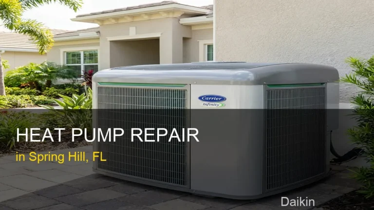 Heat Pump Repair in Spring Hill - Daikin