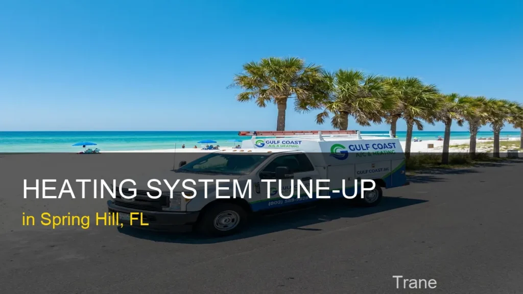 Heating System Tune-Up in Spring Hill - Trane