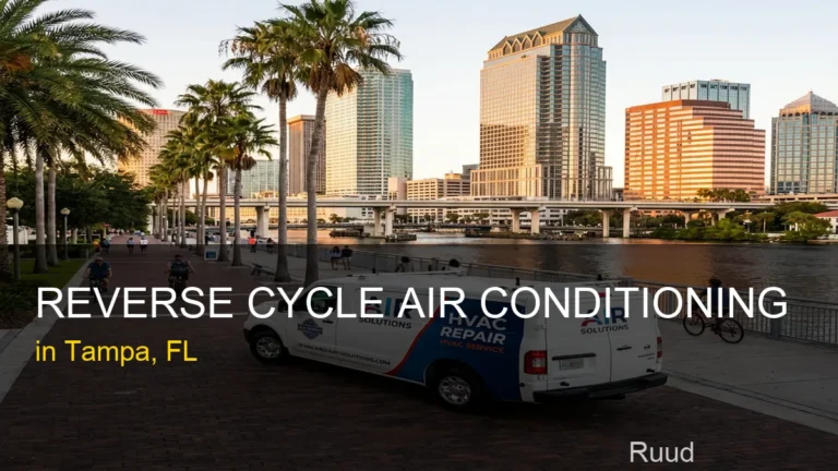Reverse Cycle Air Conditioning in Tampa - Ruud