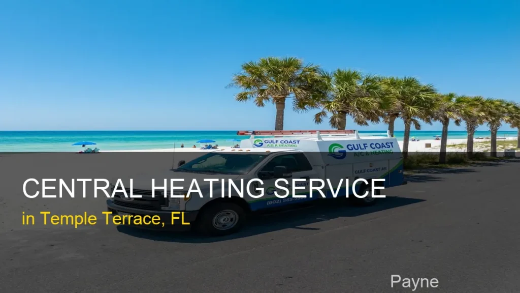 Central Heating Service in Temple Terrace - Payne