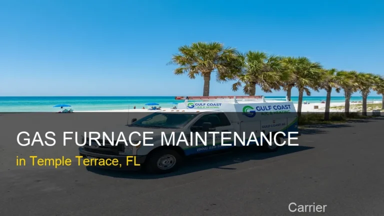 Gas Furnace Maintenance in Temple Terrace - Carrier