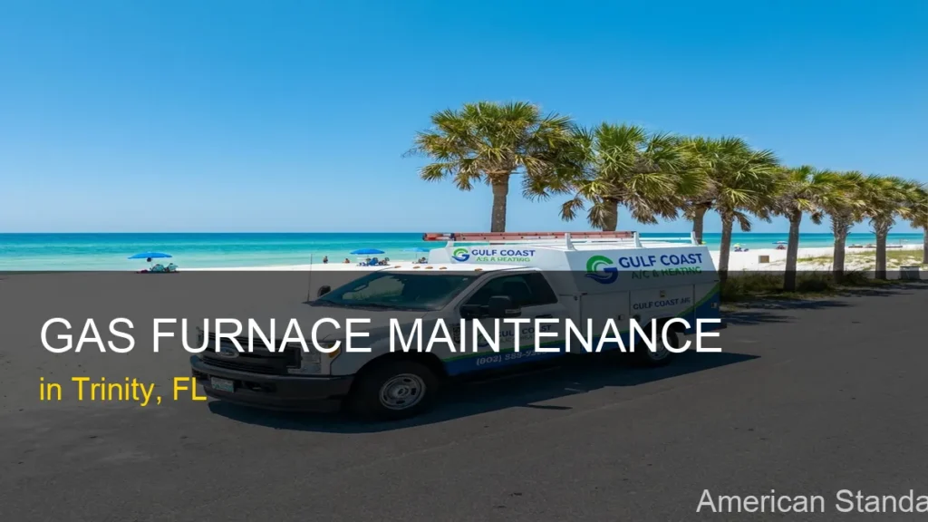 Gas Furnace Maintenance in Trinity - American Standard