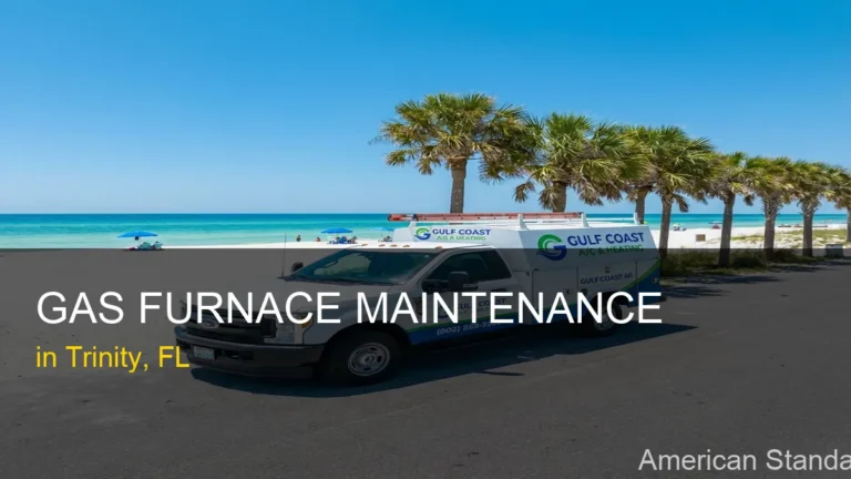 Gas Furnace Maintenance in Trinity - American Standard